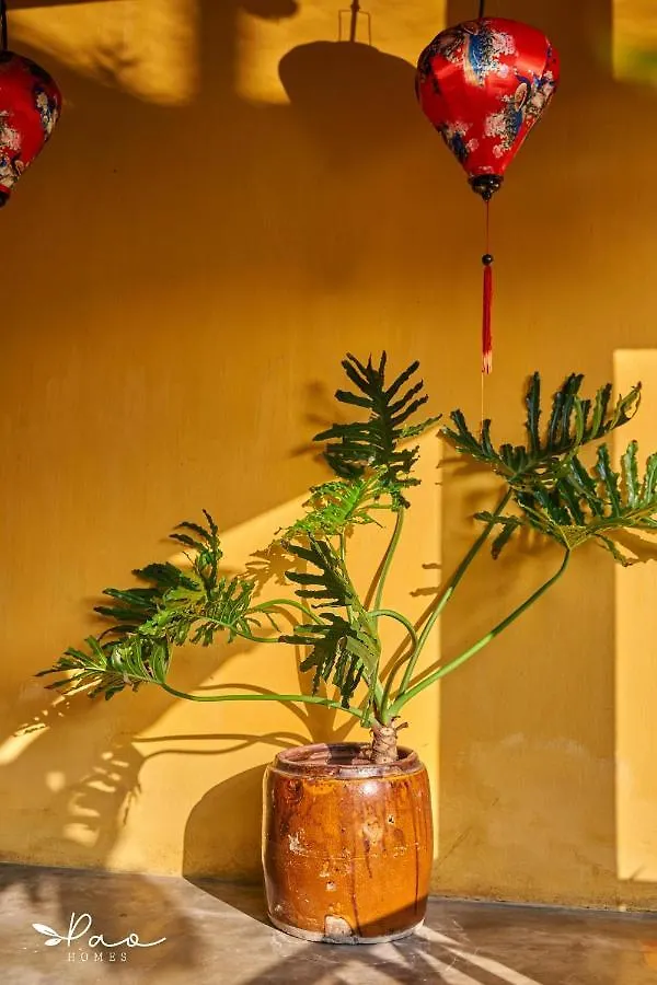 酒店 Pao Homes - An Hai Villa, Family-Friendly Villa With Pool 会安 越南